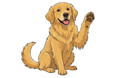 Smart Care Checklists